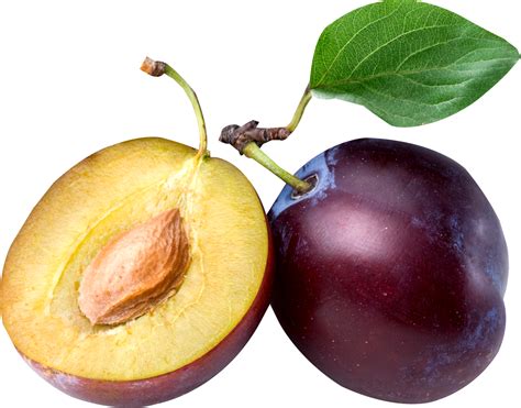 plum .
